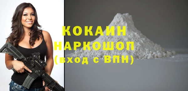 mdpv Краснослободск